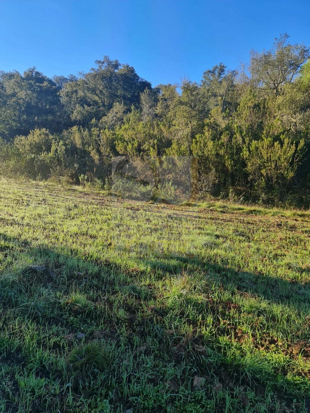 Terreno para Venda em São Bartolomeu de Messines Foto 9
