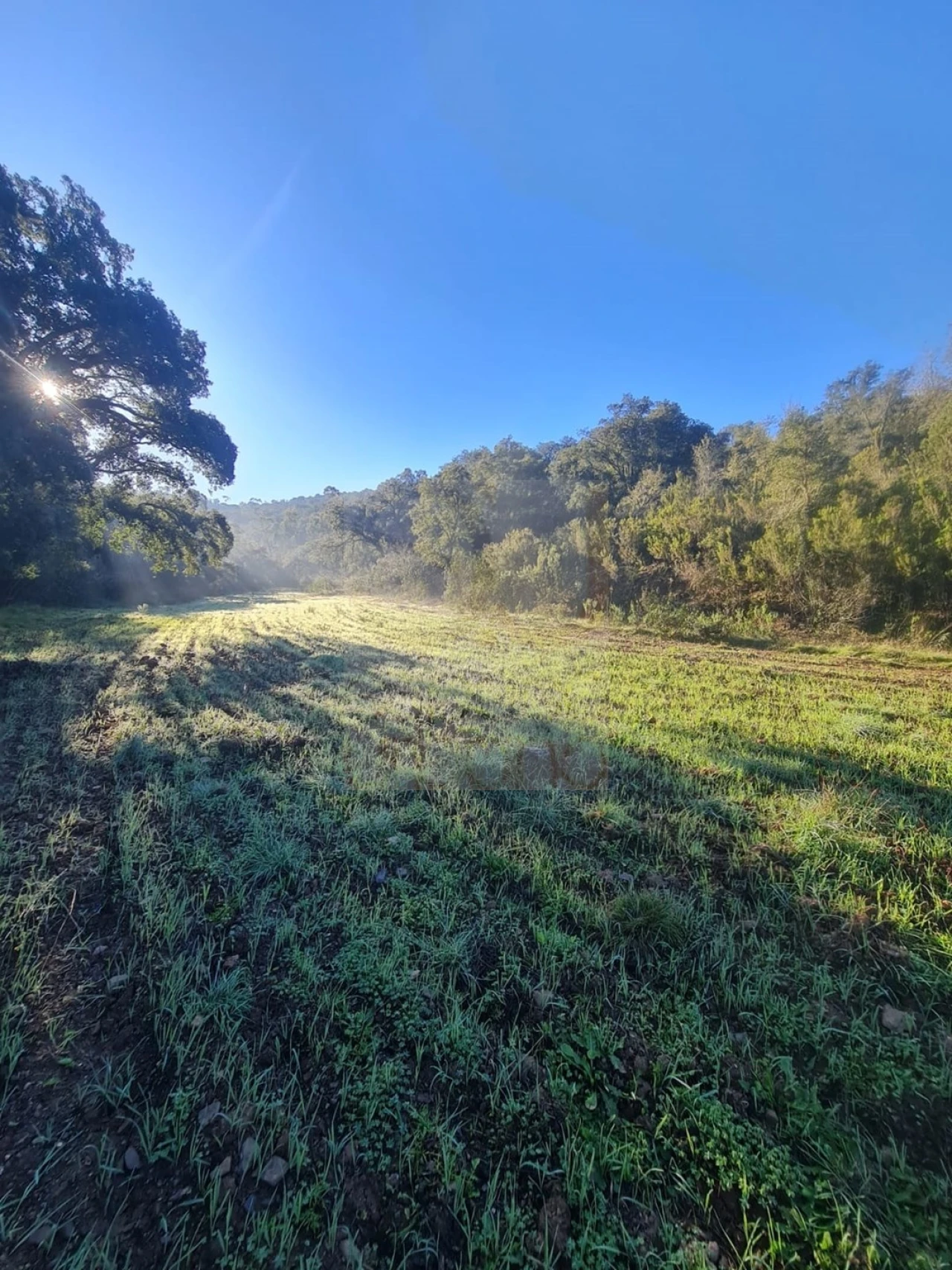 Terreno para Venda em São Bartolomeu de Messines Foto 13