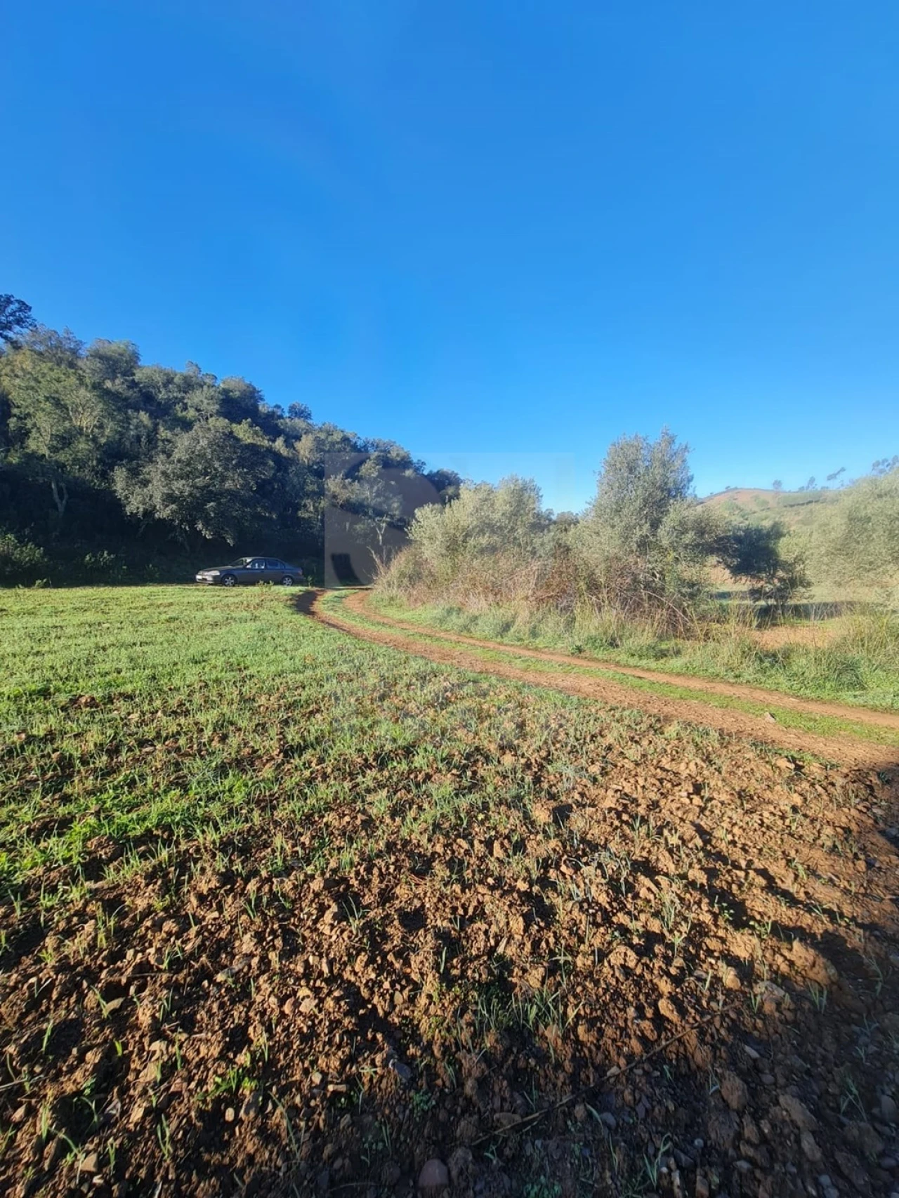 Terreno para Venda em São Bartolomeu de Messines Foto 7