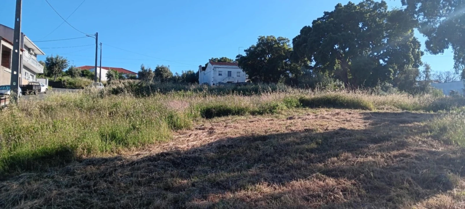 Terreno para Venda em Mação, Penhascoso e Aboboreira Foto 4