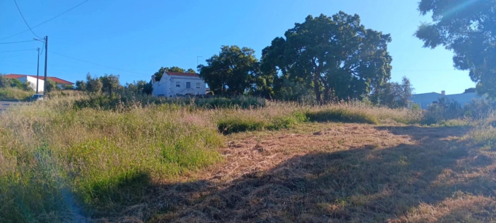 Terreno para Venda em Mação, Penhascoso e Aboboreira Foto 6