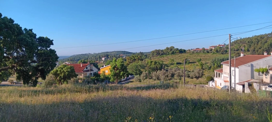 Terreno para Venda em Mação, Penhascoso e Aboboreira Foto 3