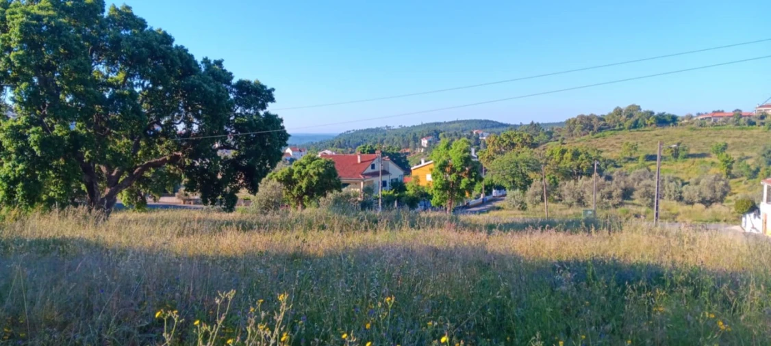 Terreno para Venda em Mação, Penhascoso e Aboboreira Foto 5