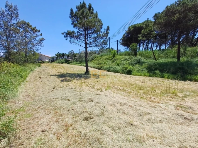 Terreno para Venda em Quiaios Foto 5