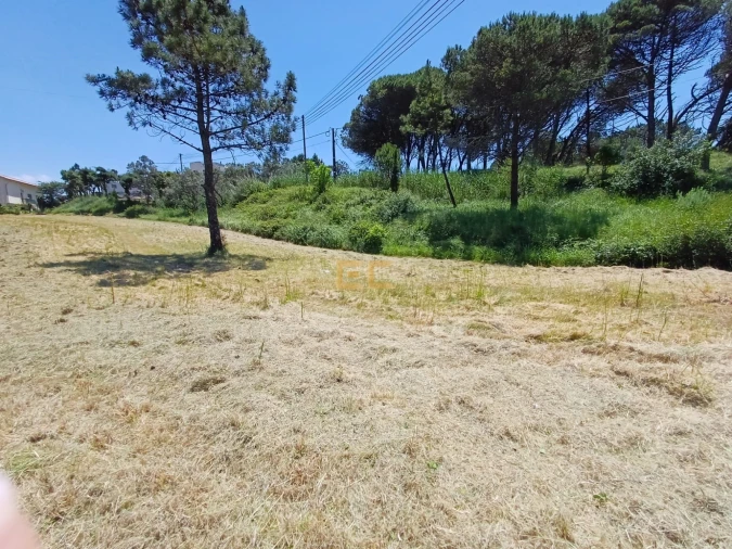 Terreno para Venda em Quiaios Foto 2