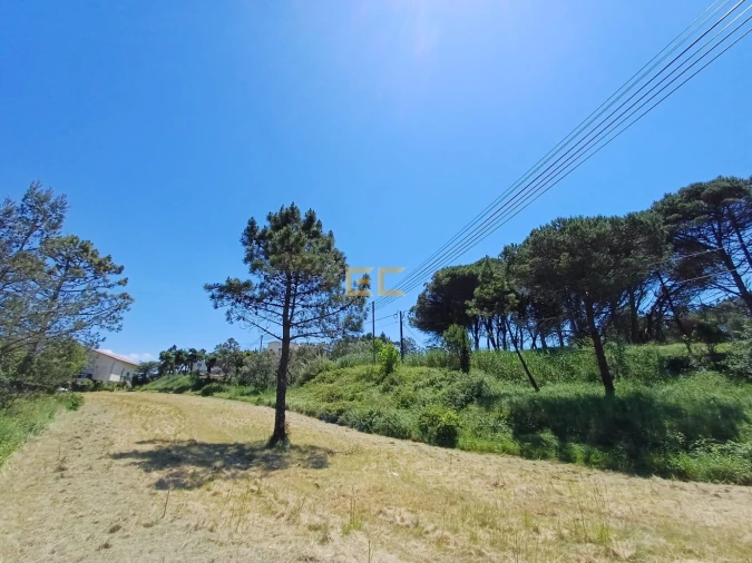 Terreno para Venda em Quiaios Foto 3