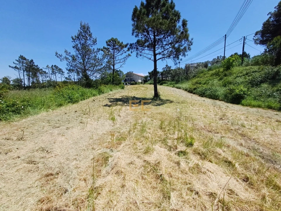 Terreno para Venda em Quiaios Foto 4