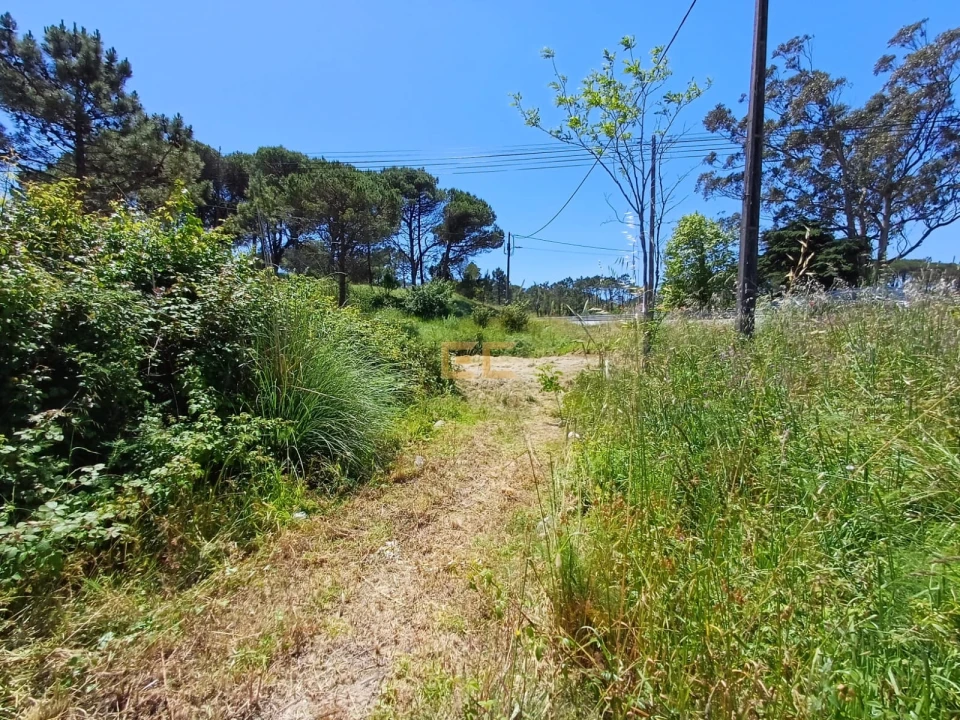 Terreno para Venda em Quiaios Foto 6