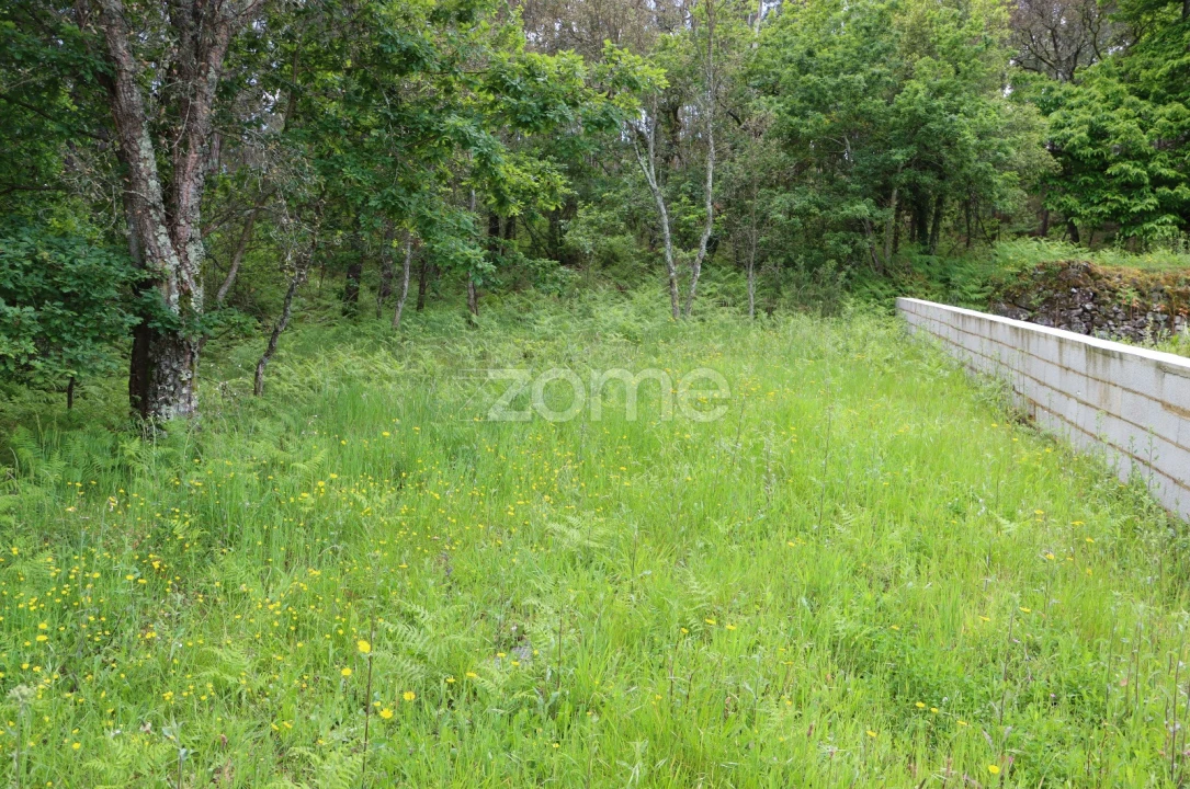 Terreno para Venda em Fajões Foto 12