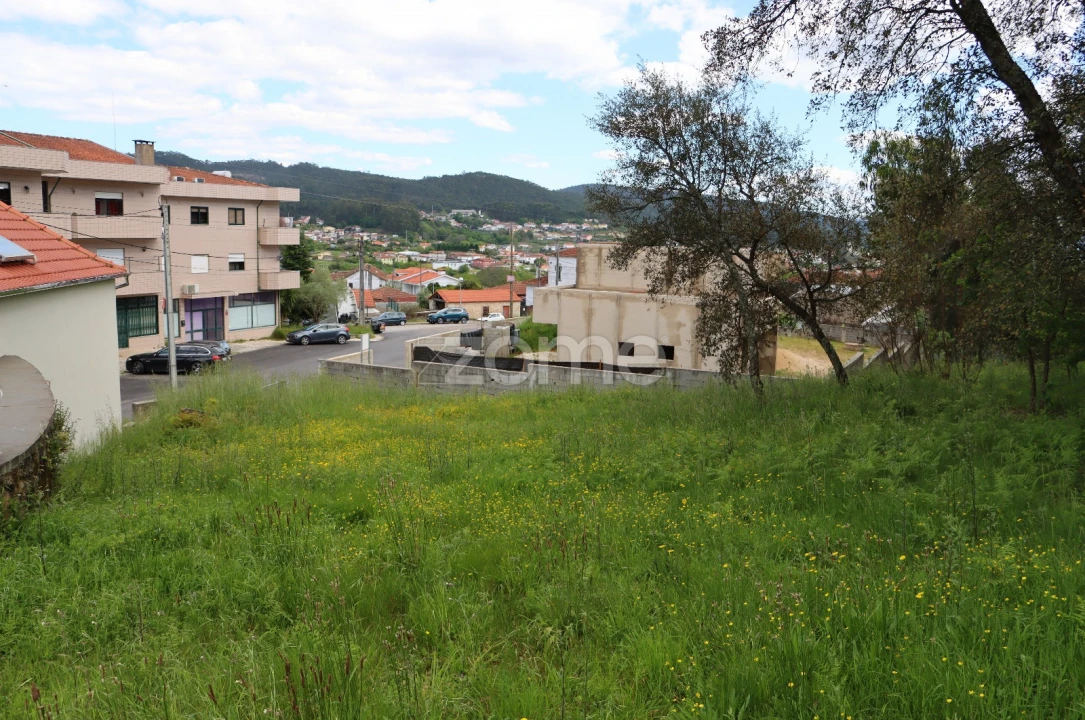 Terreno para Venda em Fajões Foto 9