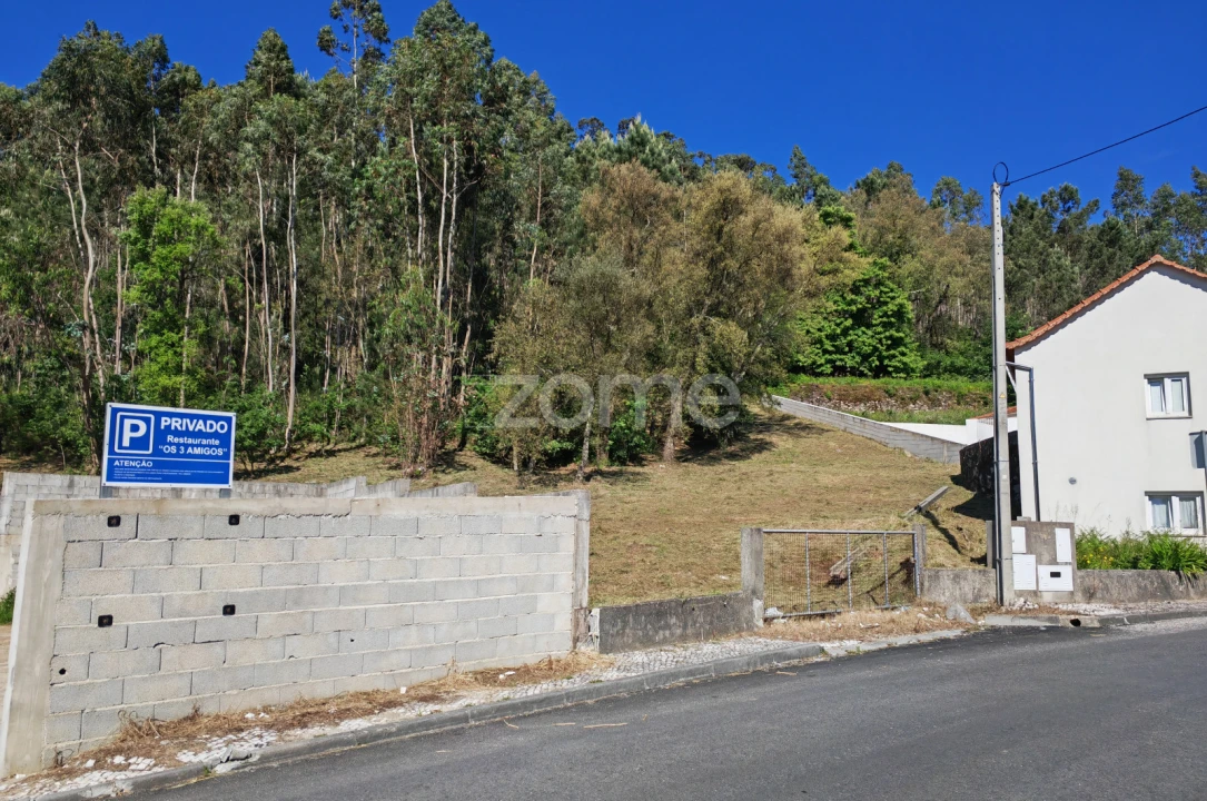 Terreno para Venda em Fajões Foto 4