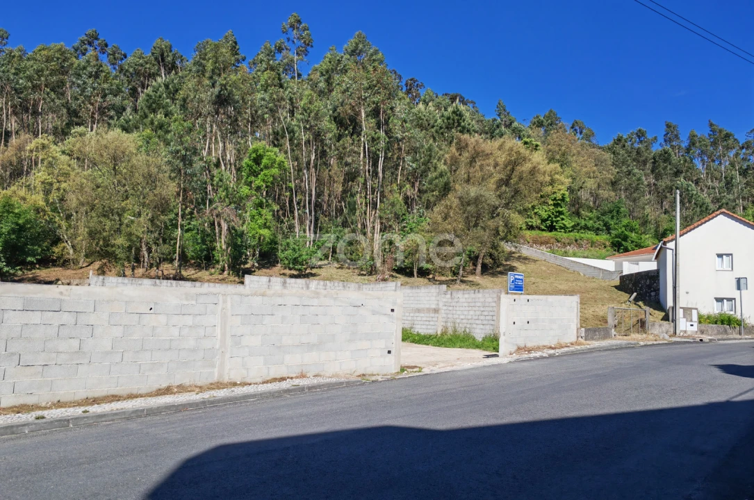 Terreno para Venda em Fajões Foto 6