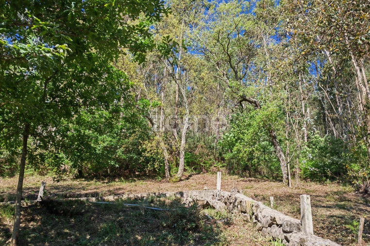 Terreno para Venda em Fajões Foto 13