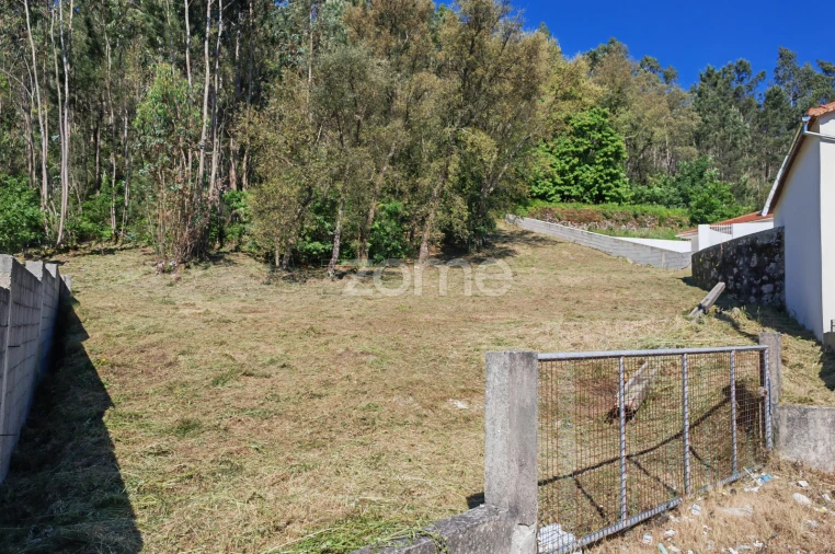 Terreno para Venda em Fajões Foto 5