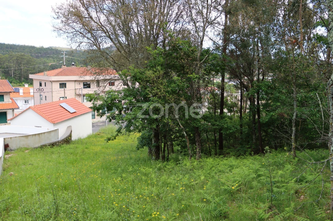 Terreno para Venda em Fajões Foto 11