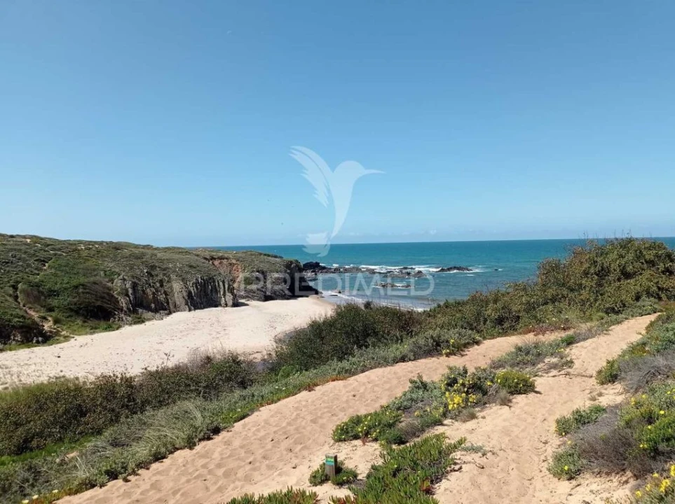 Quinta para Venda em Boavista dos Pinheiros Foto 15