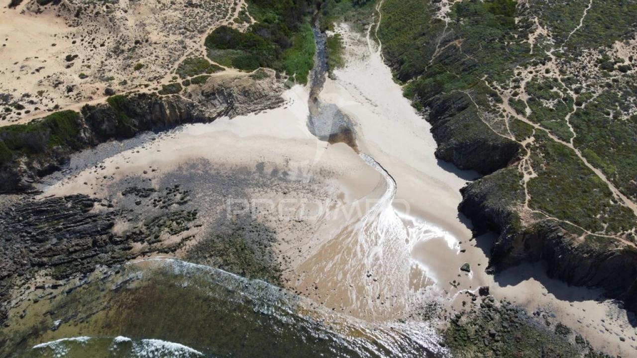 Quinta para Venda em Boavista dos Pinheiros Foto 17