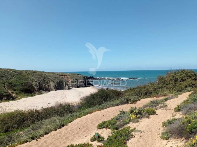 Quinta para Venda em Boavista dos Pinheiros Foto 15