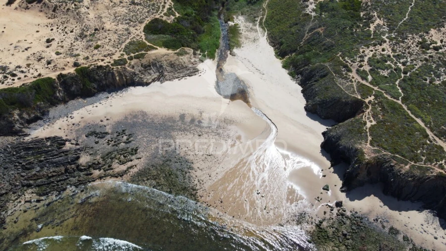 Quinta para Venda em Boavista dos Pinheiros Foto 17