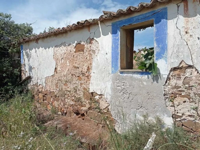 Quinta para Venda em Boavista dos Pinheiros Foto 8