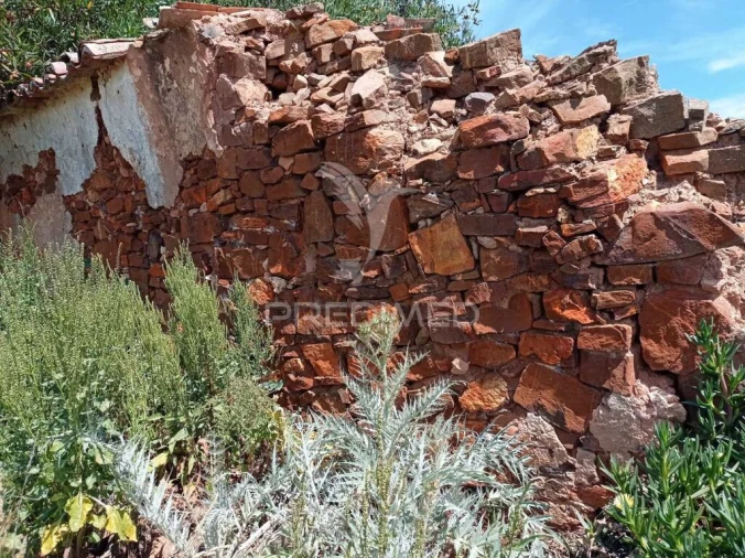 Quinta para Venda em Boavista dos Pinheiros Foto 9