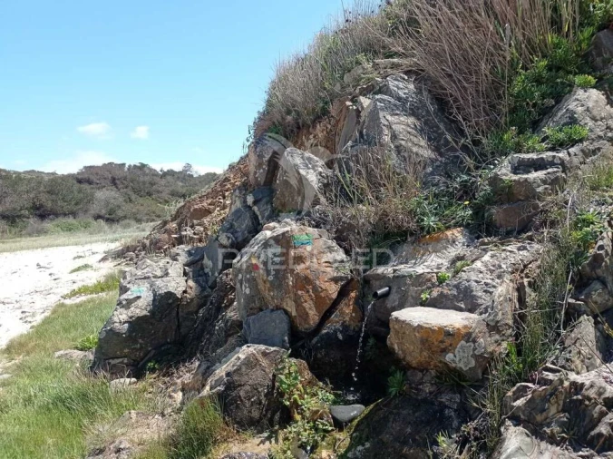 Quinta para Venda em Boavista dos Pinheiros Foto 10