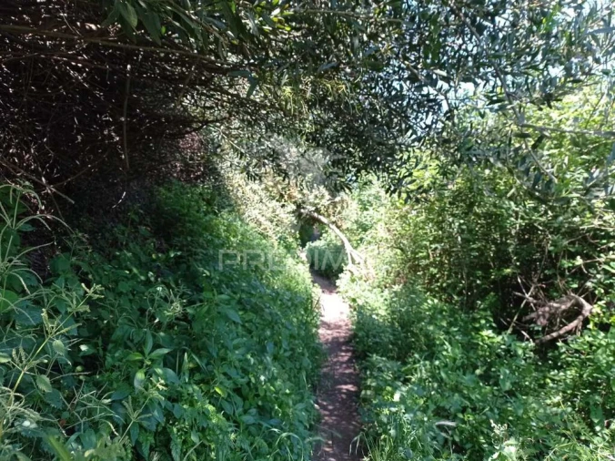 Quinta para Venda em Boavista dos Pinheiros Foto 11