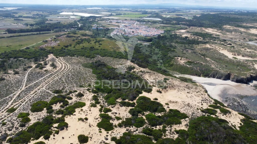 Quinta para Venda em Boavista dos Pinheiros Foto 19