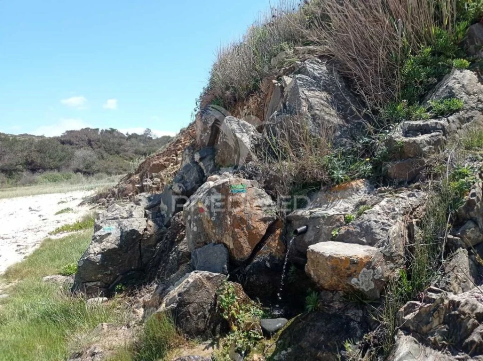Quinta para Venda em Boavista dos Pinheiros Foto 10