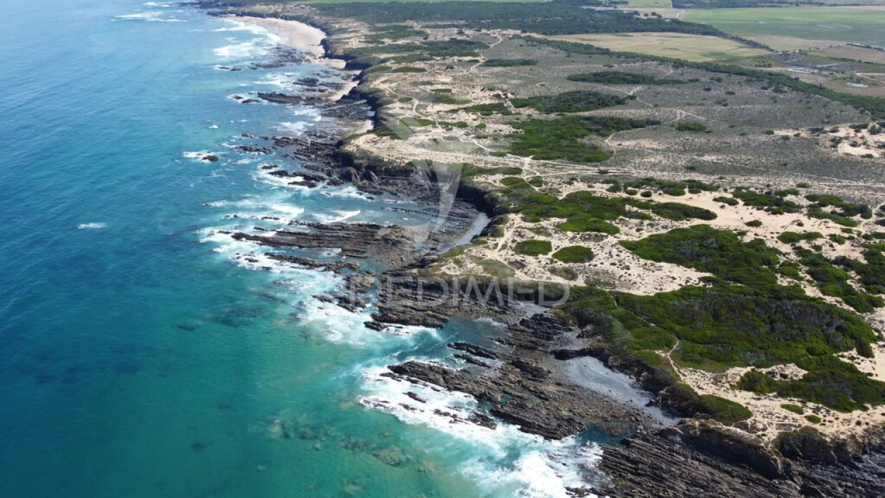 Quinta para Venda em Boavista dos Pinheiros Foto 20