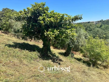 Moradia T2 para Venda em Gesteira e Brunhós