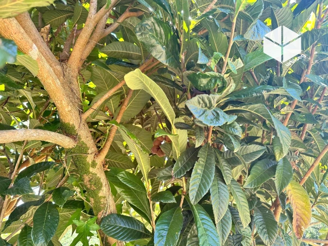 Moradia T2 para Venda em Gesteira e Brunhós Foto 14