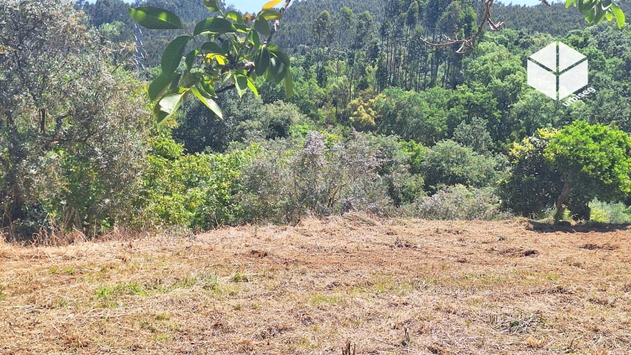 Moradia T2 para Venda em Gesteira e Brunhós Foto 9