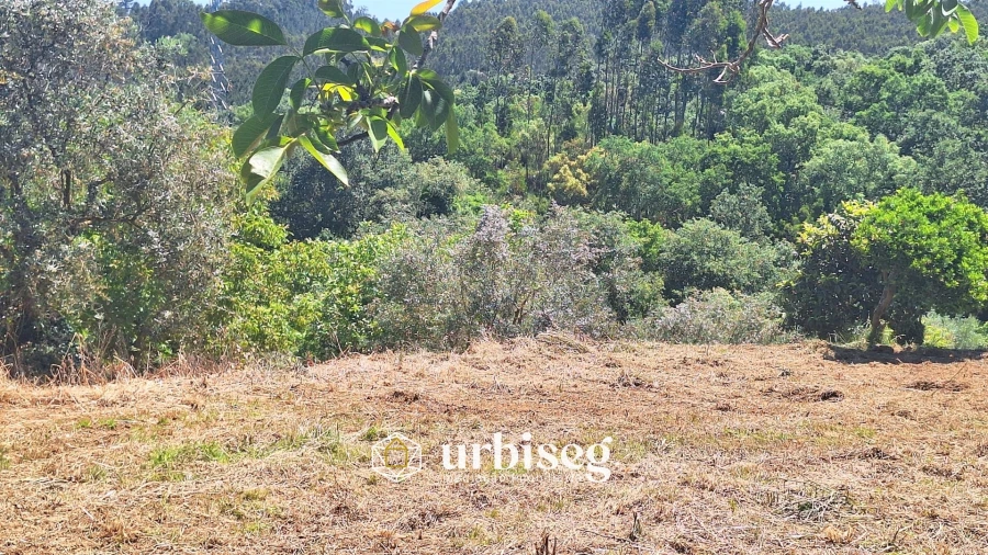 Moradia T2 para Venda em Gesteira e Brunhós Foto 19
