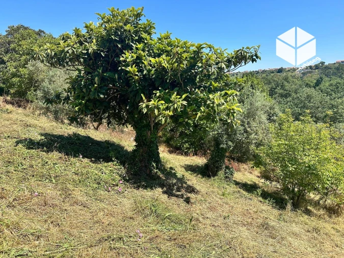 Moradia T2 para Venda em Gesteira e Brunhós Foto 5