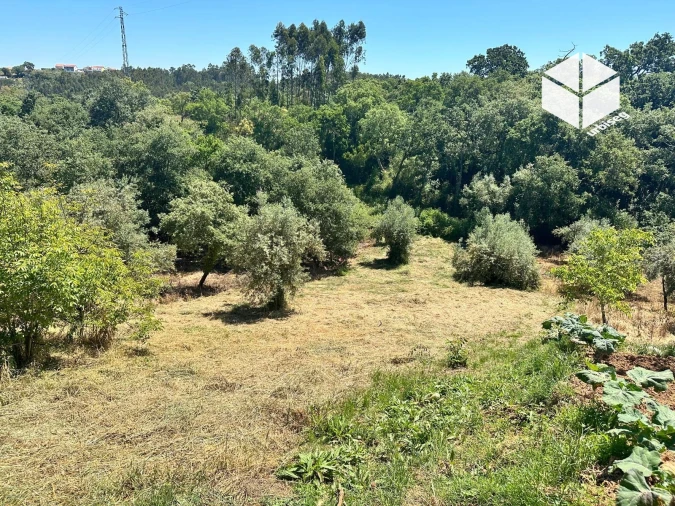 Moradia T2 para Venda em Gesteira e Brunhós Foto 4