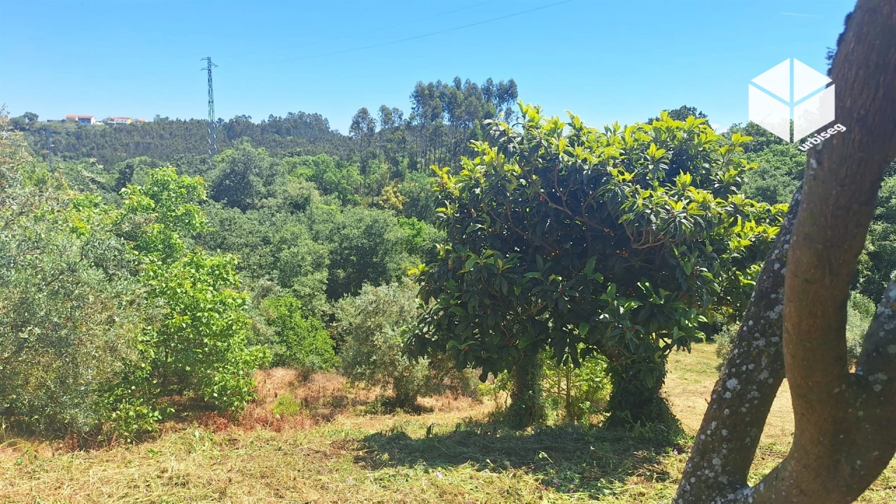 Moradia T2 para Venda em Gesteira e Brunhós Foto 16