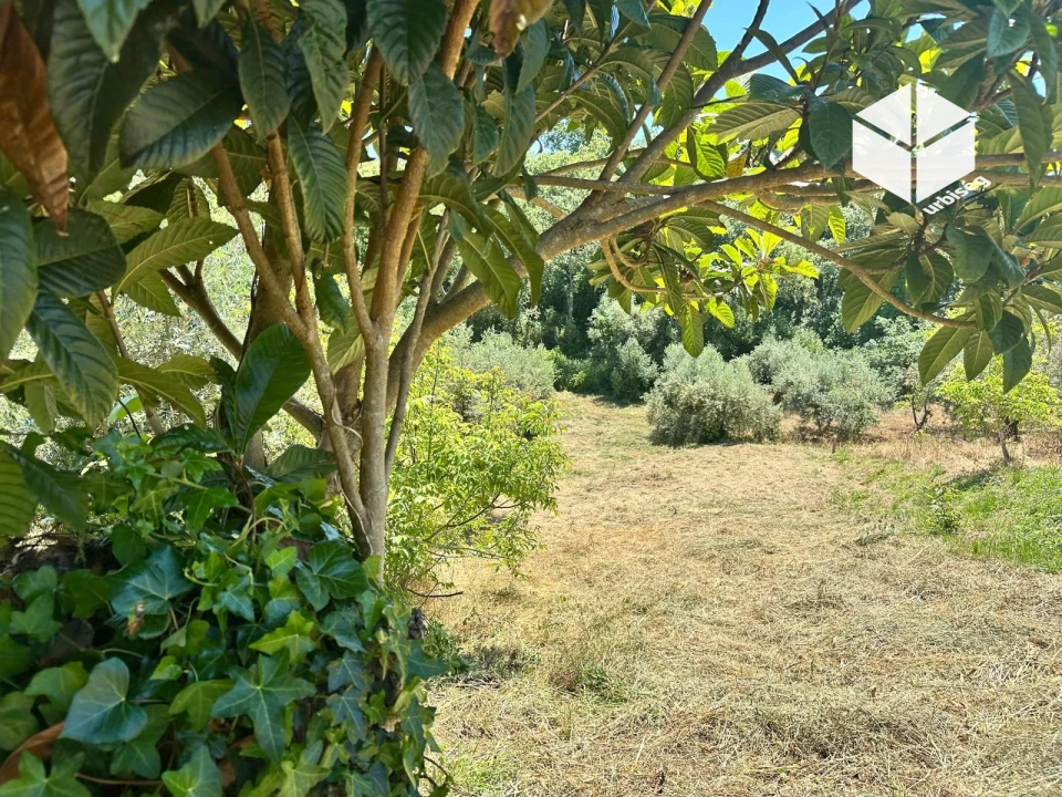 Moradia T2 para Venda em Gesteira e Brunhós Foto 15