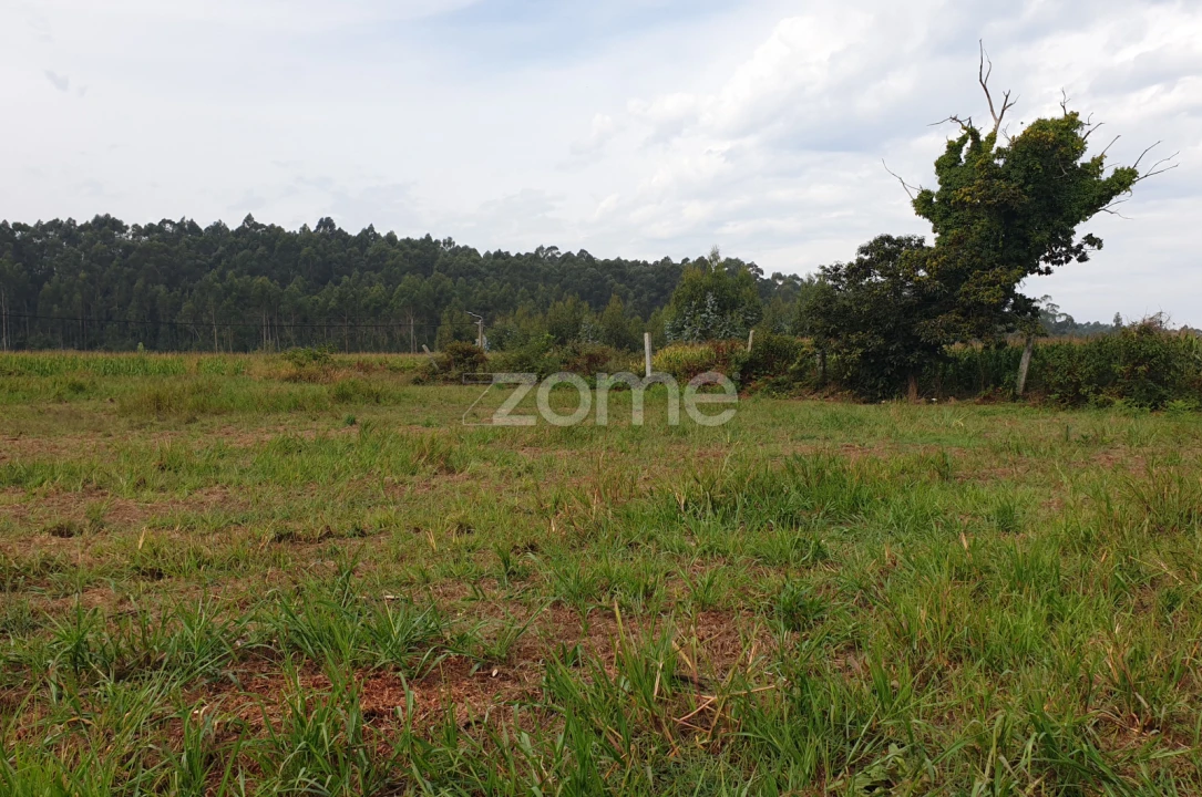Terreno para Venda em Aveleda Foto 21