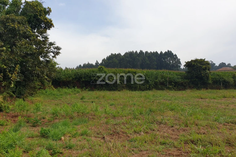 Terreno para Venda em Aveleda Foto 22