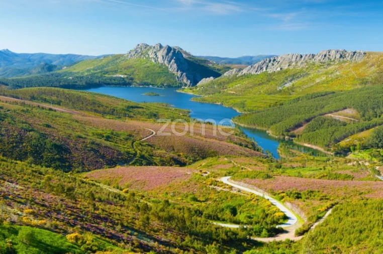 Terreno para Venda em Cambas Foto 13