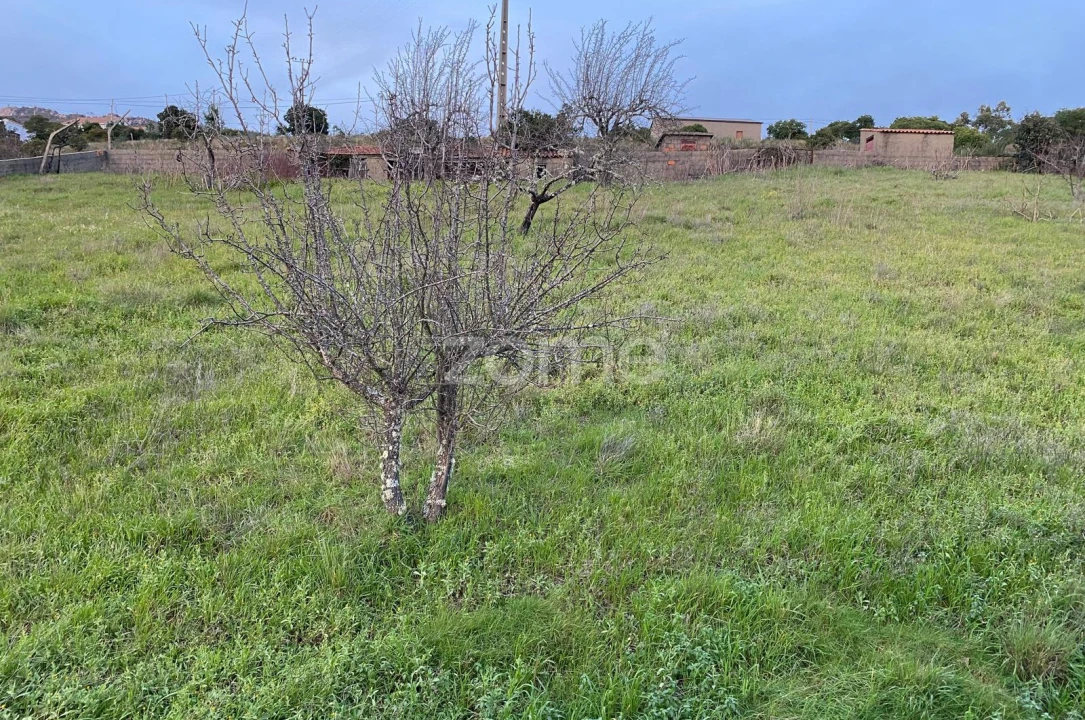 Terreno para Venda em Cambas Foto 3