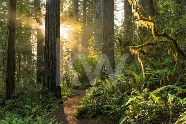 Prédio para Venda em Agualva e Mira-Sintra Foto 21