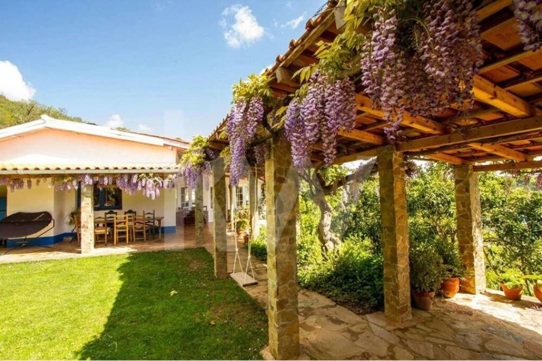 Quinta T16 para Venda em Santa Clara-A-Velha Foto 10