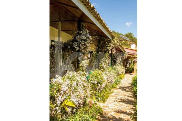 Quinta T16 para Venda em Santa Clara-A-Velha Foto 20