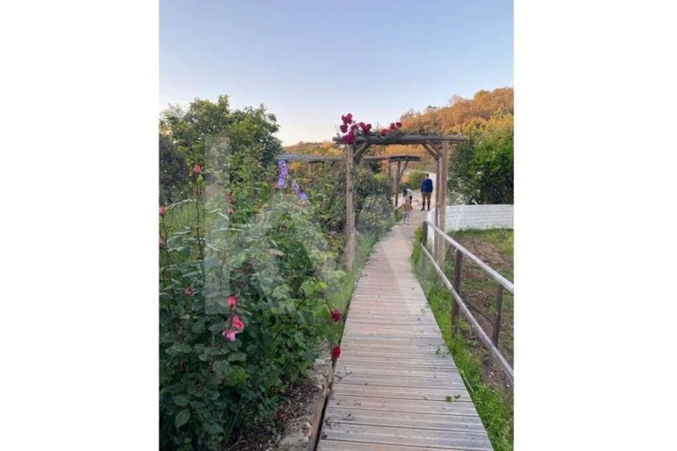 Quinta T16 para Venda em Santa Clara-A-Velha Foto 27