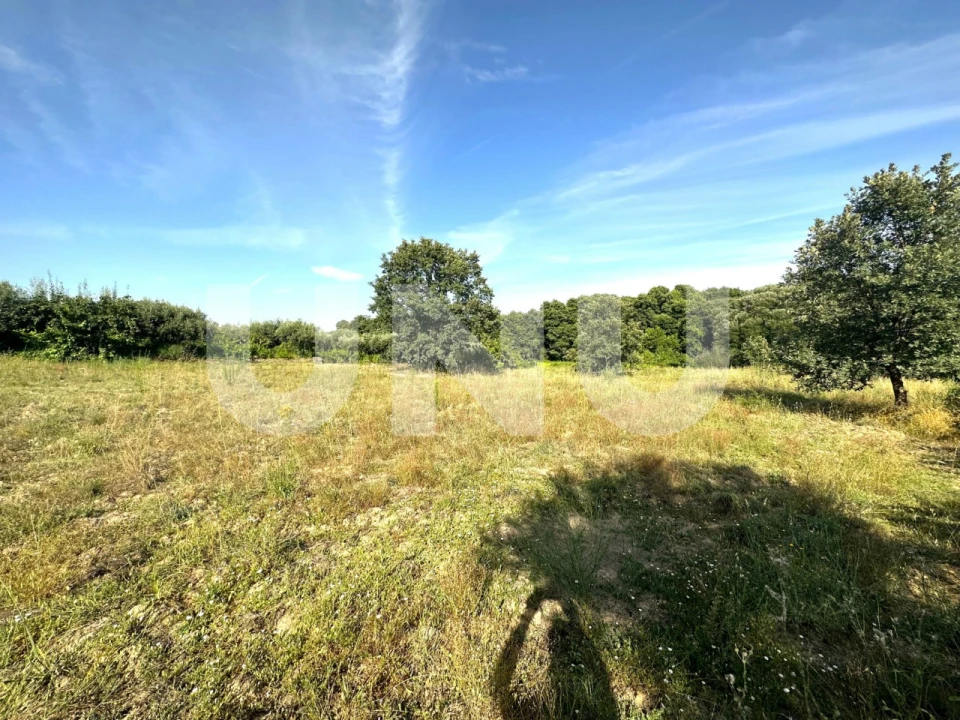 Terreno Agricola ou Rústico para Venda em Fundão, Valverde, Donas, A. Joanes, A. Nova Cabo Foto 2