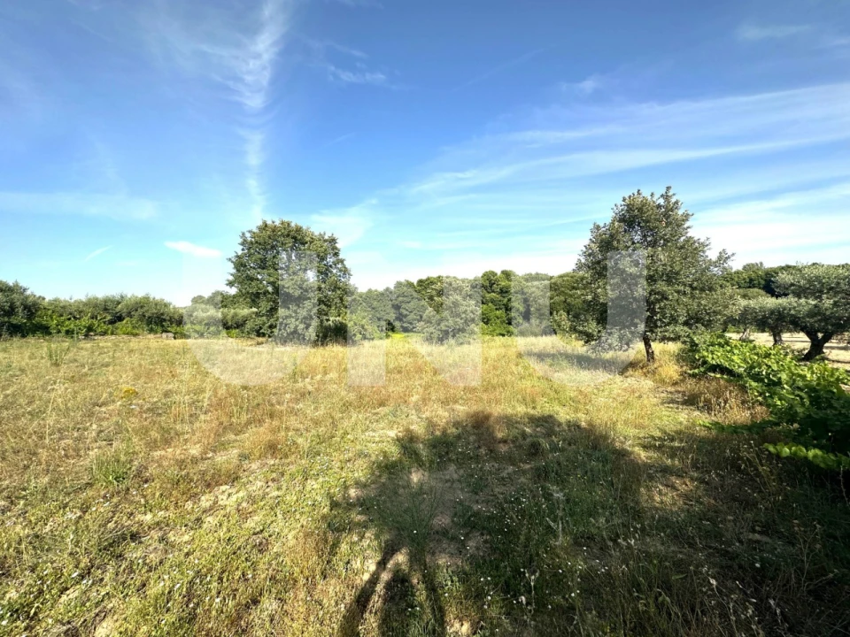 Terreno Agricola ou Rústico para Venda em Fundão, Valverde, Donas, A. Joanes, A. Nova Cabo Foto 7