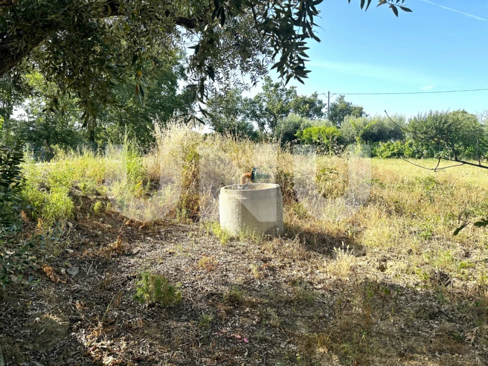 Terreno Agricola ou Rústico para Venda em Fundão, Valverde, Donas, A. Joanes, A. Nova Cabo Foto 9