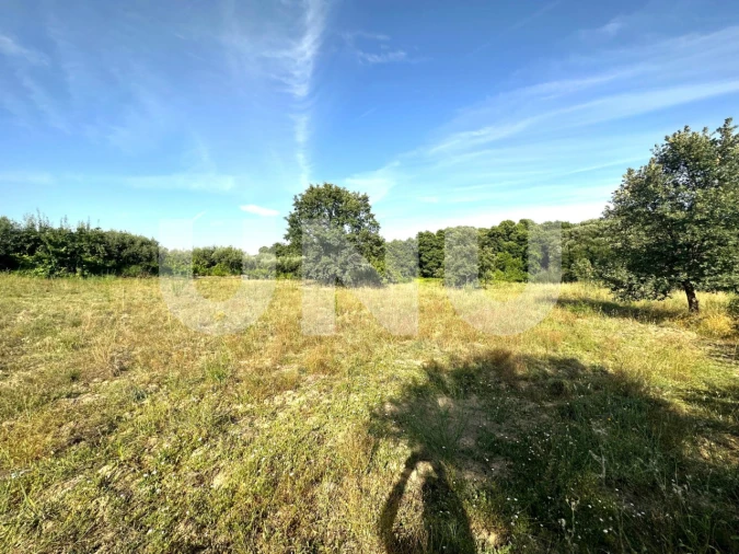 Terreno Agricola ou Rústico para Venda em Fundão, Valverde, Donas, A. Joanes, A. Nova Cabo Foto 2